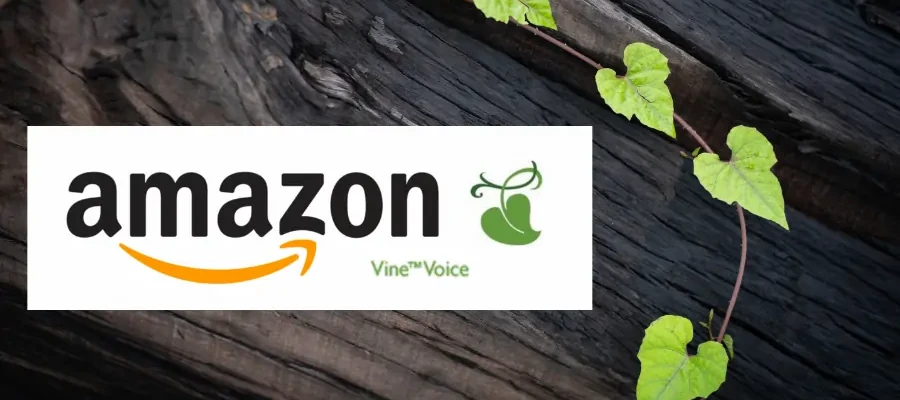 Maximizing Your Sales with the Amazon Vine Program